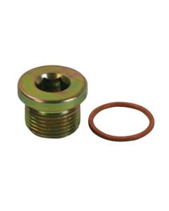 FITTING PLUG, STEEL, M20 X 1.5, LOW WARNING SENSOR