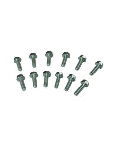 BOLTS, HEADER, GM LS, M8 X 1.25 X  25 MM LONG
