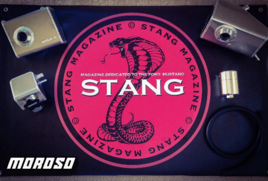 Stang Magazine: Featured Article
